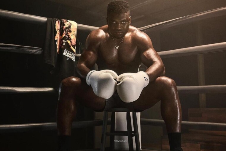 Francis Ngannou aux sommets du MMA mondial